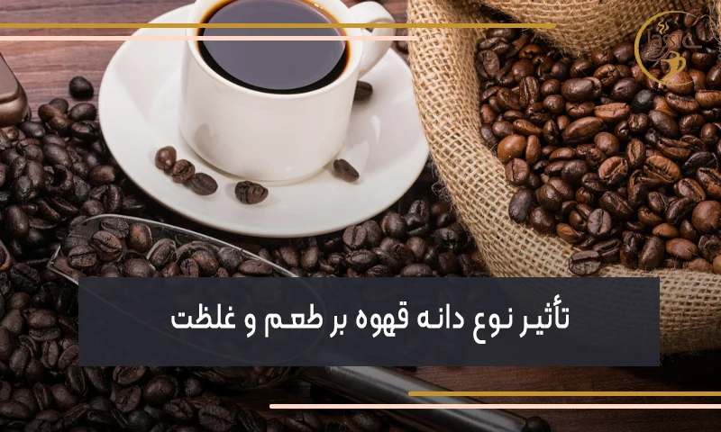 تأثیر نوع دانه قهوه بر طعم و غلظت
